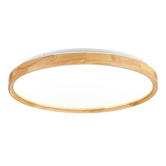 Потолочный сетодиодный светильник Evoluce Delia SLE201382-01 изображение 1 Потолочный сетодиодный светильник Evoluce Delia SLE201382-01 Фото № 1