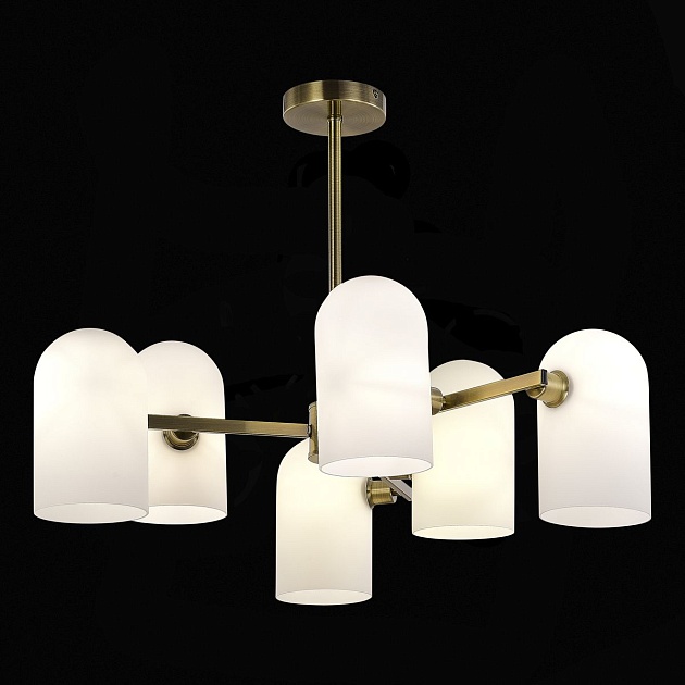 Подвесная люстра Evoluce Nobilia SLE1047-302-06 Фото № 4