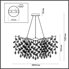 Подвесная люстра Odeon Light DELICA 4970/10 2