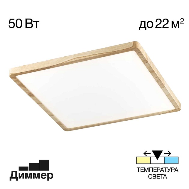 Светильник накладной Citilux Бейсик CL738K502V Фото № 1