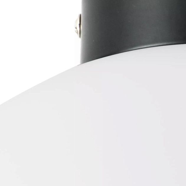 Настенно-потолочный светильник Lightstar Globo 812037 Фото № 3