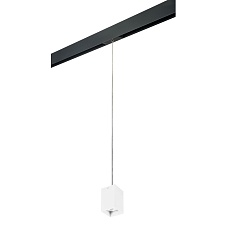 Комплект с трековым светильником Lightstar Rullo (216336+595957) PRORP336