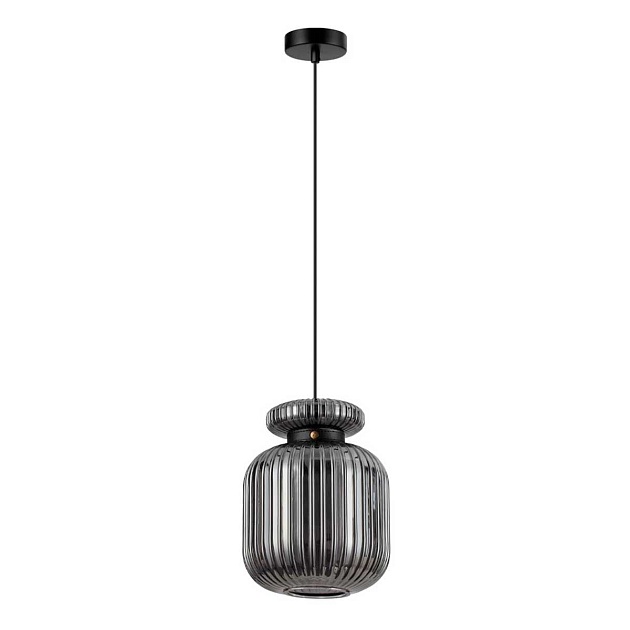 Подвесной светильник Odeon Light JUGI 5042/1B Фото № 1