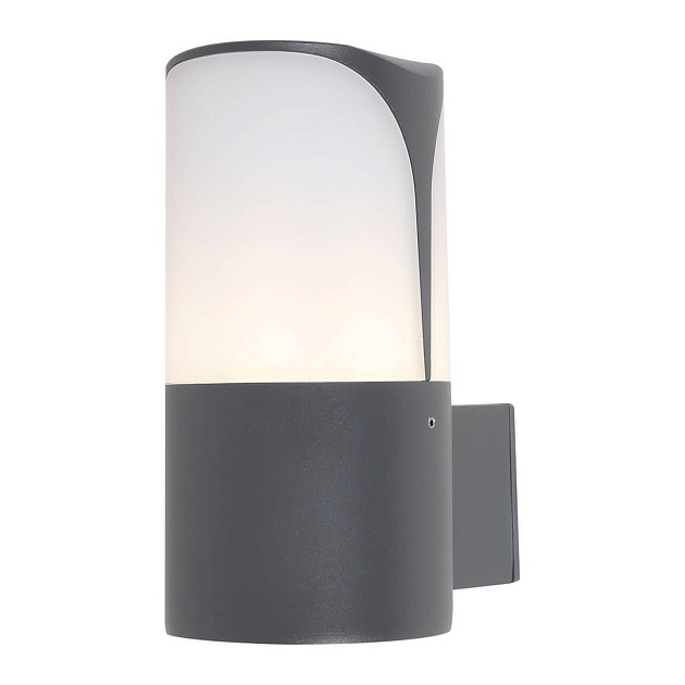 Уличный настенный светильник Maytoni Piccadilly O016WL-01B Фото № 1