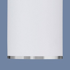 Потолочный светильник Elektrostandard DLN101 GU10 WH белый a043967 2
