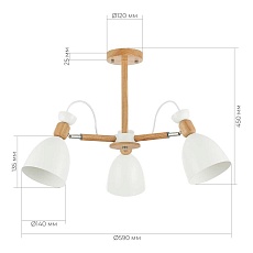 Потолочная люстра Evoluce Balcamo SLE103802-03 3