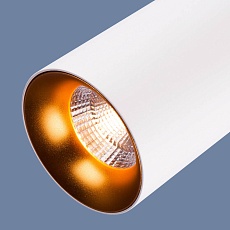 Подвесной светодиодный светильник Elektrostandard DLS021 9+4W 4200К белый матовый/золото a045501 1