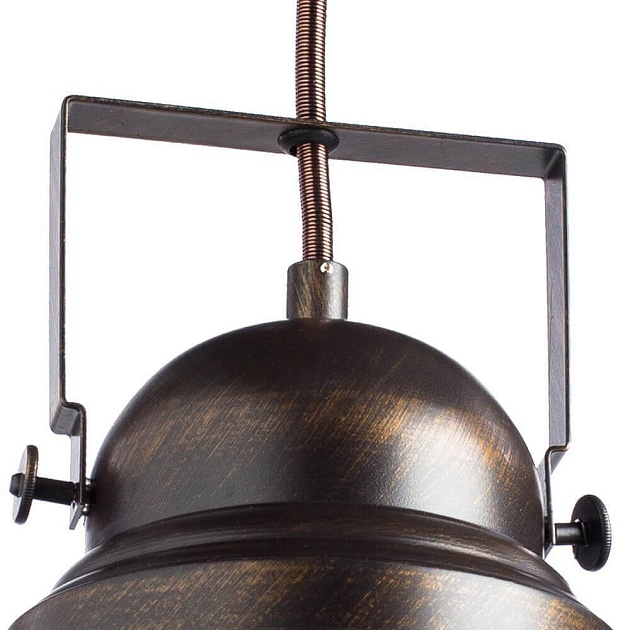 Подвесной светильник Arte Lamp Martin A5213SP-1BR фото 3