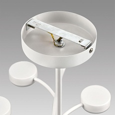 Люстра Lumion TORINA 8265/18 4