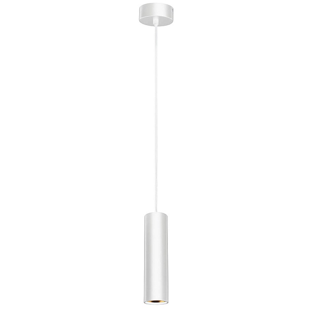 Подвесной светильник ЭРА PL1 GU10 WH 300 Б0041508 Фото № 1