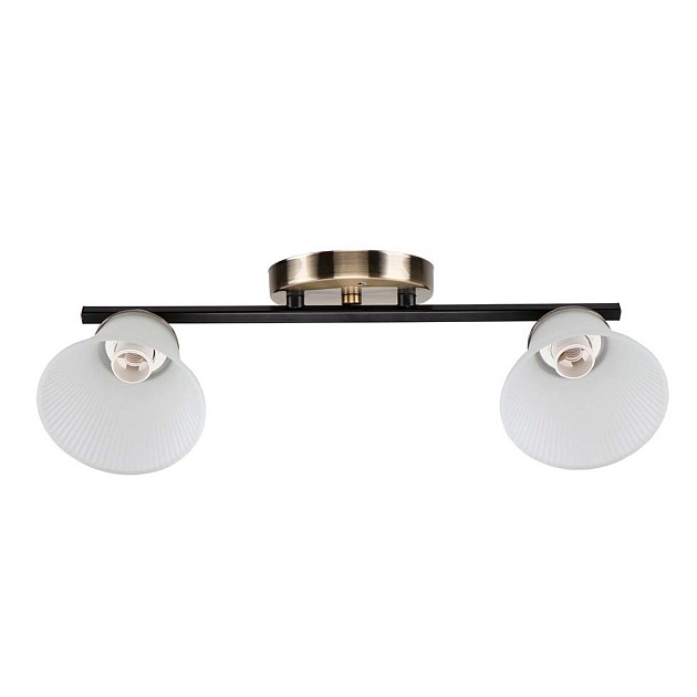 Спот ЭкономСвет 10165/2AB+BK WT Фото № 1