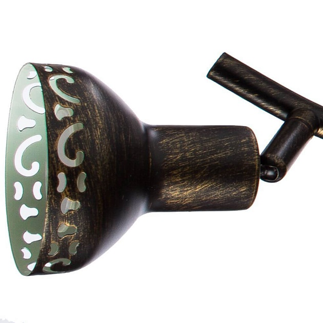 Спот Arte Lamp Focus A5219PL-4BR Фото № 2