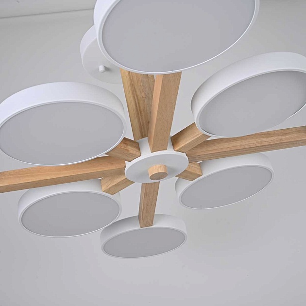 Потолочный светильник Imperium Loft TURNA-B01 228849-26 изображение 5 Потолочный светильник Imperium Loft TURNA-B01 228849-26 Фото № 5
