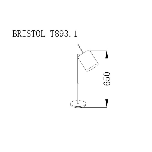 Настольная лампа Lucia Tucci Bristol T893.1 фото 2