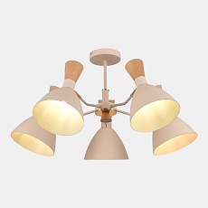 Потолочная люстра Evoluce Vista SLE1256-502-05 5