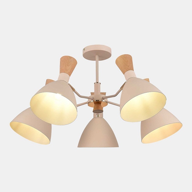 Потолочная люстра Evoluce Vista SLE1256-502-05 изображение 6 Потолочная люстра Evoluce Vista SLE1256-502-05 Фото № 6