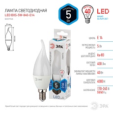 Лампа светодиодная ЭРА E14 5W 4000K матовая LED BXS-5W-840-E14 Б0027968 3
