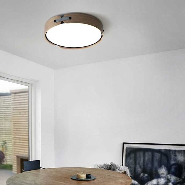 Потолочный светильник Imperium Loft Range 101959-26 Фото № 6