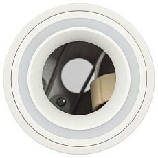 Настенно-потолочный светильник ЭРА OL47 WH Б0059795 5