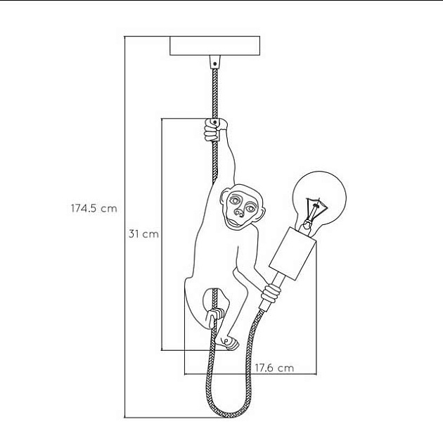 Подвесной светильник Lucide Extravaganza Chimp 10402/01/30 фото 2