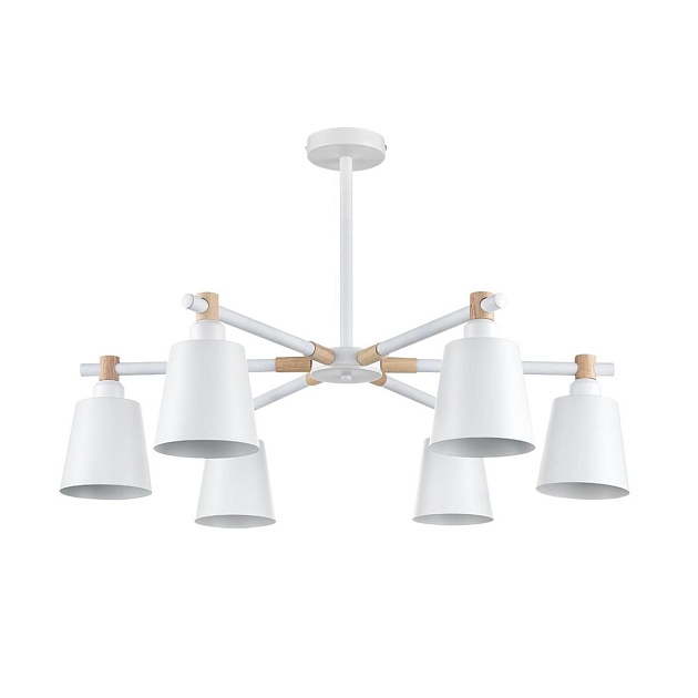 Потолочная люстра Lumion Moderni Rosalina 8097/6C изображение 1 Потолочная люстра Lumion Moderni Rosalina 8097/6C Фото № 1