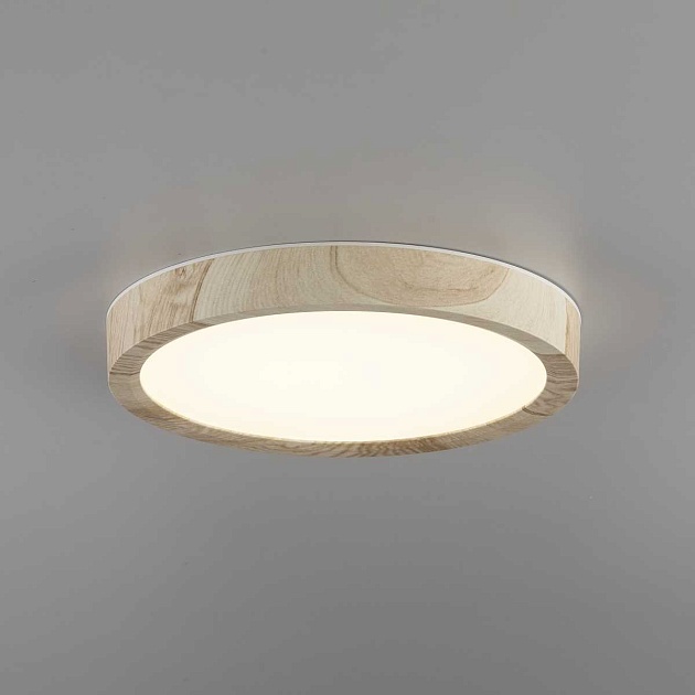 Светильник накладной Citilux Бейсик CL738122N Фото № 8