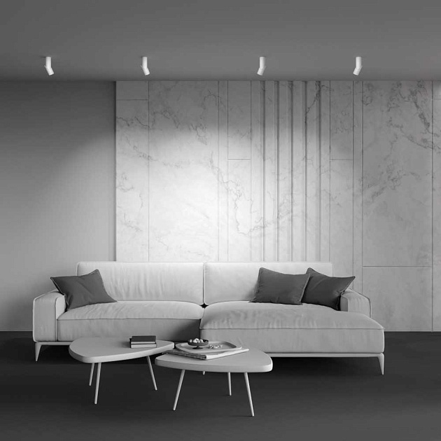 Светодиодный спот Maytoni Dafne C027CL-L10W Фото № 2