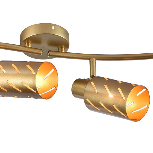 Спот Reluce 05970-0.8-04 GOLD изображение 2 Спот Reluce 05970-0.8-04 GOLD Фото № 2