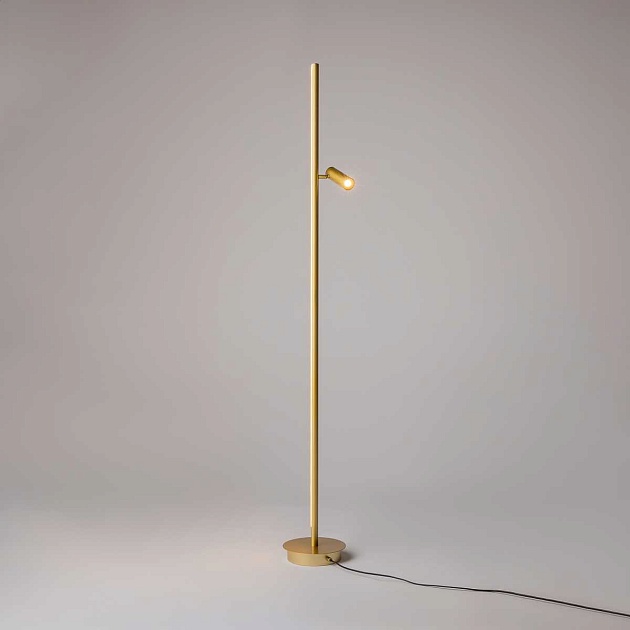 Торшер Maytoni Modern Thin MOD395FL-L28BS3K Фото № 10