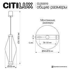 Подвесной светильник Citilux Tanna CL253010 1
