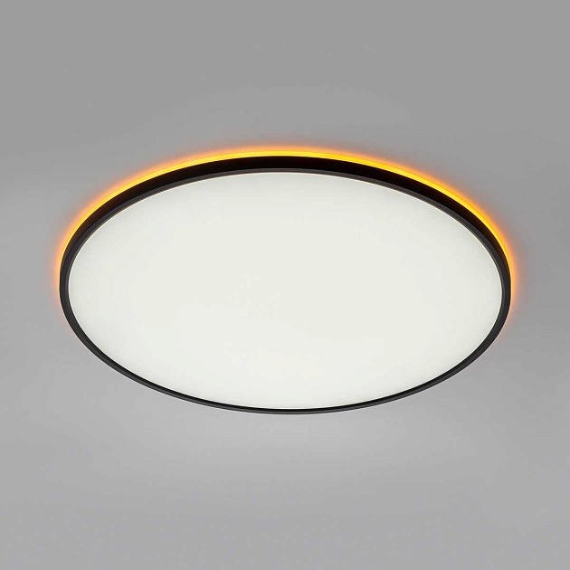 Потолочный светильник Citilux NORMA CL749601 Фото № 8