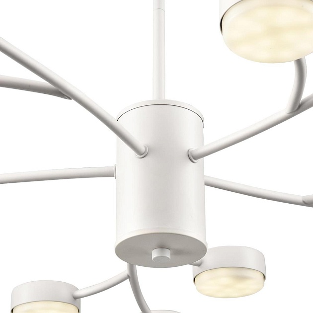 Люстра Lumion TORINA 8265/15 изображение 3 Люстра Lumion TORINA 8265/15 Фото № 3