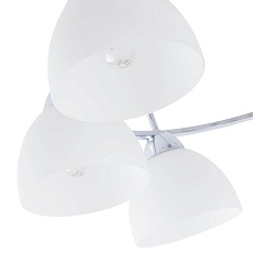 Потолочная люстра Arte Lamp A6057PL-8CC 2