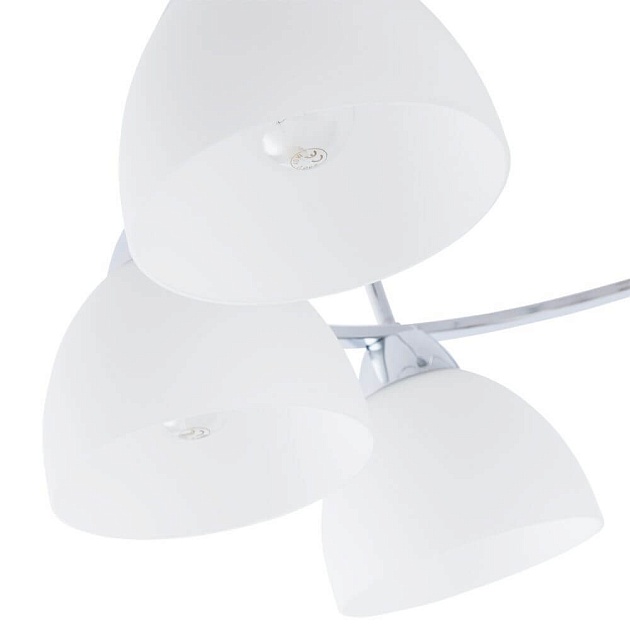 Потолочная люстра Arte Lamp A6057PL-8CC Фото № 3