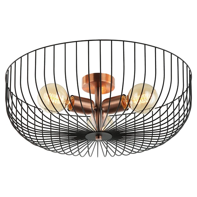 Потолочная люстра Lussole Loft Brooks LSP-8250 Фото № 1