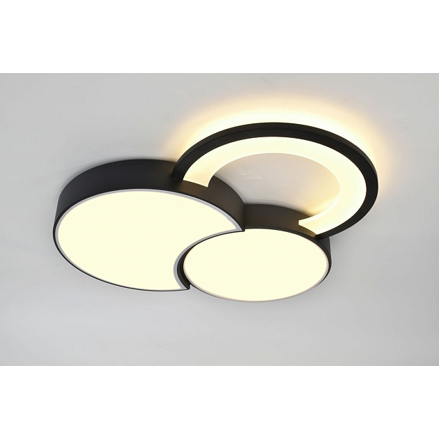 Потолочный светодиодный светильник Rivoli Aliona 6161-702 Б0066452 Фото № 10