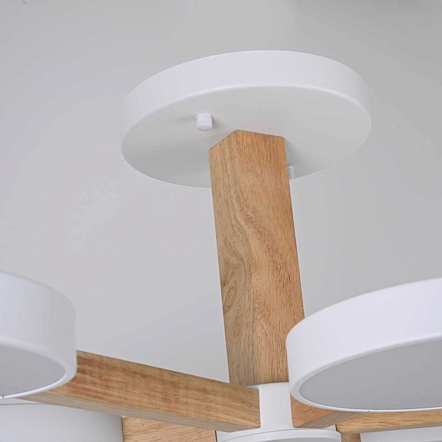 Потолочный светильник Imperium Loft TURNA-B01 141108-26 Фото № 7