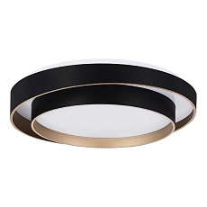 Потолочный светодиодный светильник Evoluce Crosby SLE6009-402-01 5