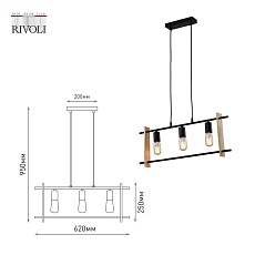 Подвесной светильник Rivoli Elizabeth 5107-203 Б0057935 2