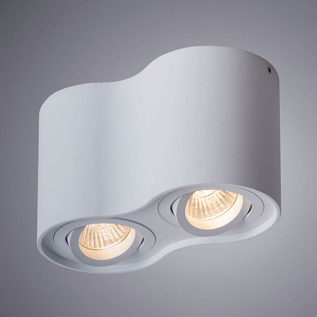 Потолочный светильник Arte Lamp Falcon A5645PL-2WH фото 2