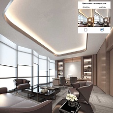Светодиодная лента ST Luce ST1001.414.20 3