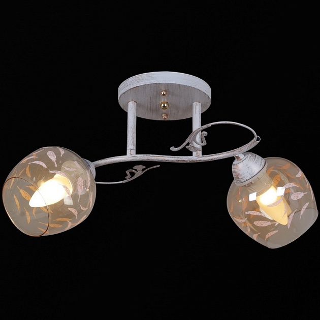 Потолочный светильник Reluce 12458-0.3-02 изображение 1 Потолочный светильник Reluce 12458-0.3-02 Фото № 1