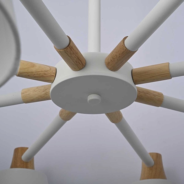 Подвесная люстра Imperium Loft Natura 177988-26 изображение 8 Подвесная люстра Imperium Loft Natura 177988-26 Фото № 8