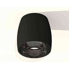Комплект накладного светильника Ambrella light Techno Spot XS1142021 SBK/BK черный песок/тонированный (C1142, N7192) 2