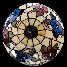 Потолочный светильник Arte Lamp Florizel A3165PL-2BG 2