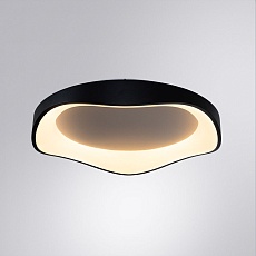 Потолочный светодиодный светильник Arte Lamp Ankaa A3085PL-56BK 3
