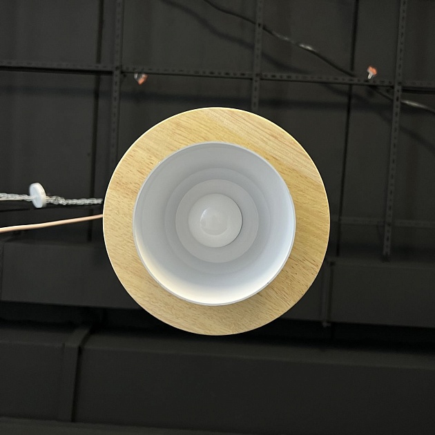 Подвесной светильник Imperium Loft Eco 178161-26 Фото № 7