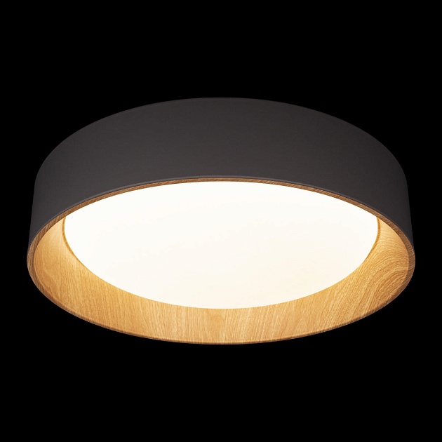 Потолочный светодиодный светильник Loft IT Coin 10202 Grey изображение 4 Потолочный светодиодный светильник Loft IT Coin 10202 Grey Фото № 4