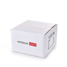Настенный светильник Imperium Loft Lex Ring 133215-22 4