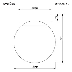 Настенно-потолочный светильник Evoluce Acini SL717.401.01 1